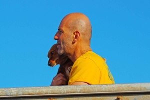 Larnaca: Zenobia Qualified Divers