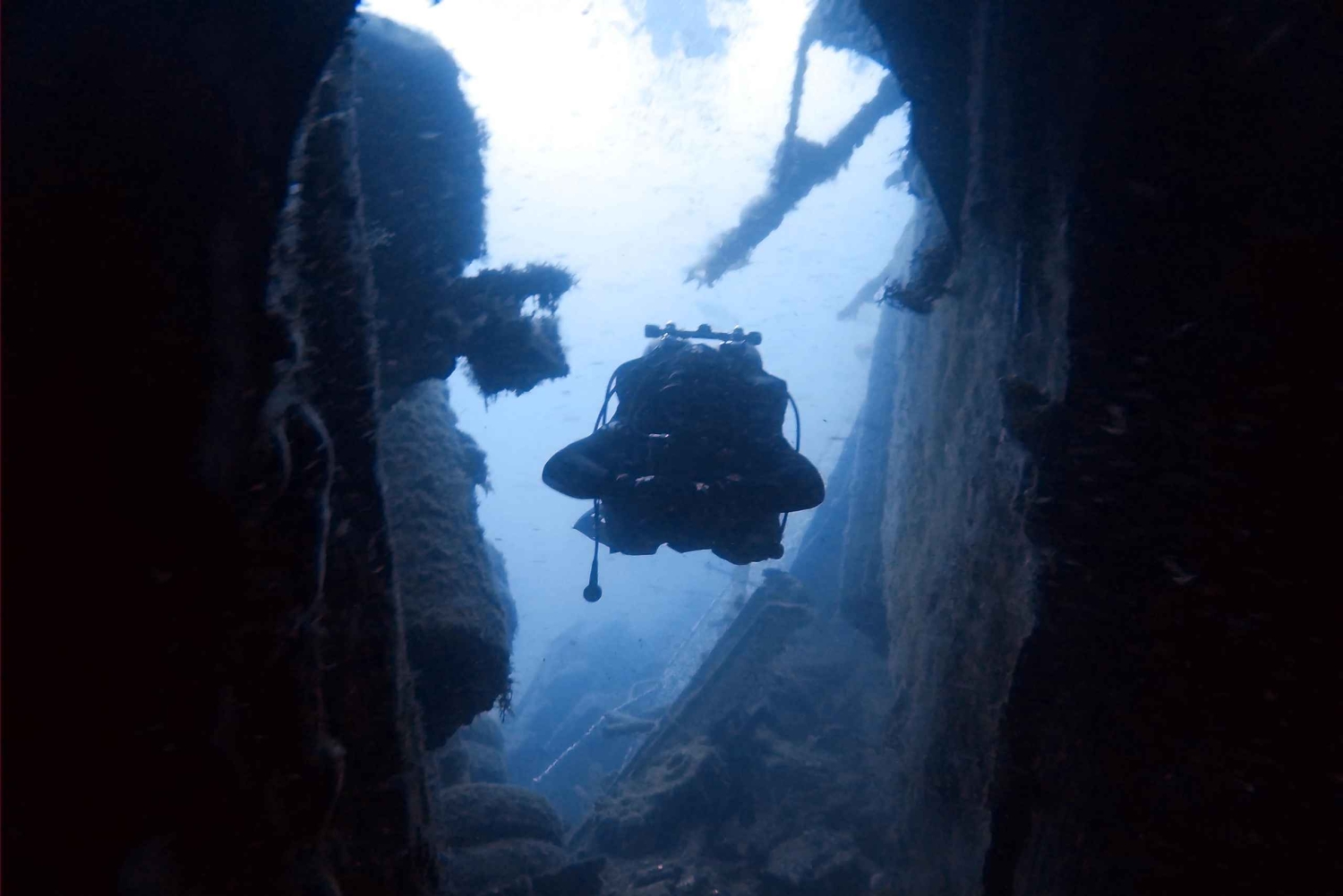 Larnaca: Zenobia Shipwreck Dives - certified divers only