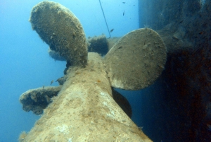Larnaca: Zenobia Shipwreck Dives - certified divers only