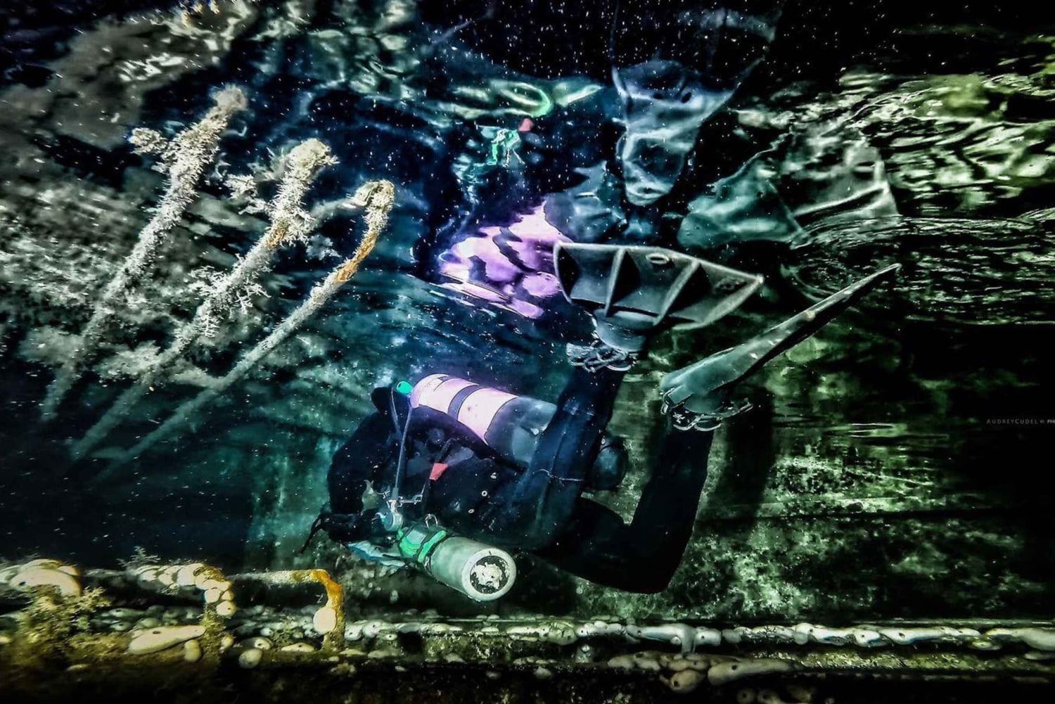 Larnaca: Certificação de mergulho noturno no naufrágio Zenobia com a SSI