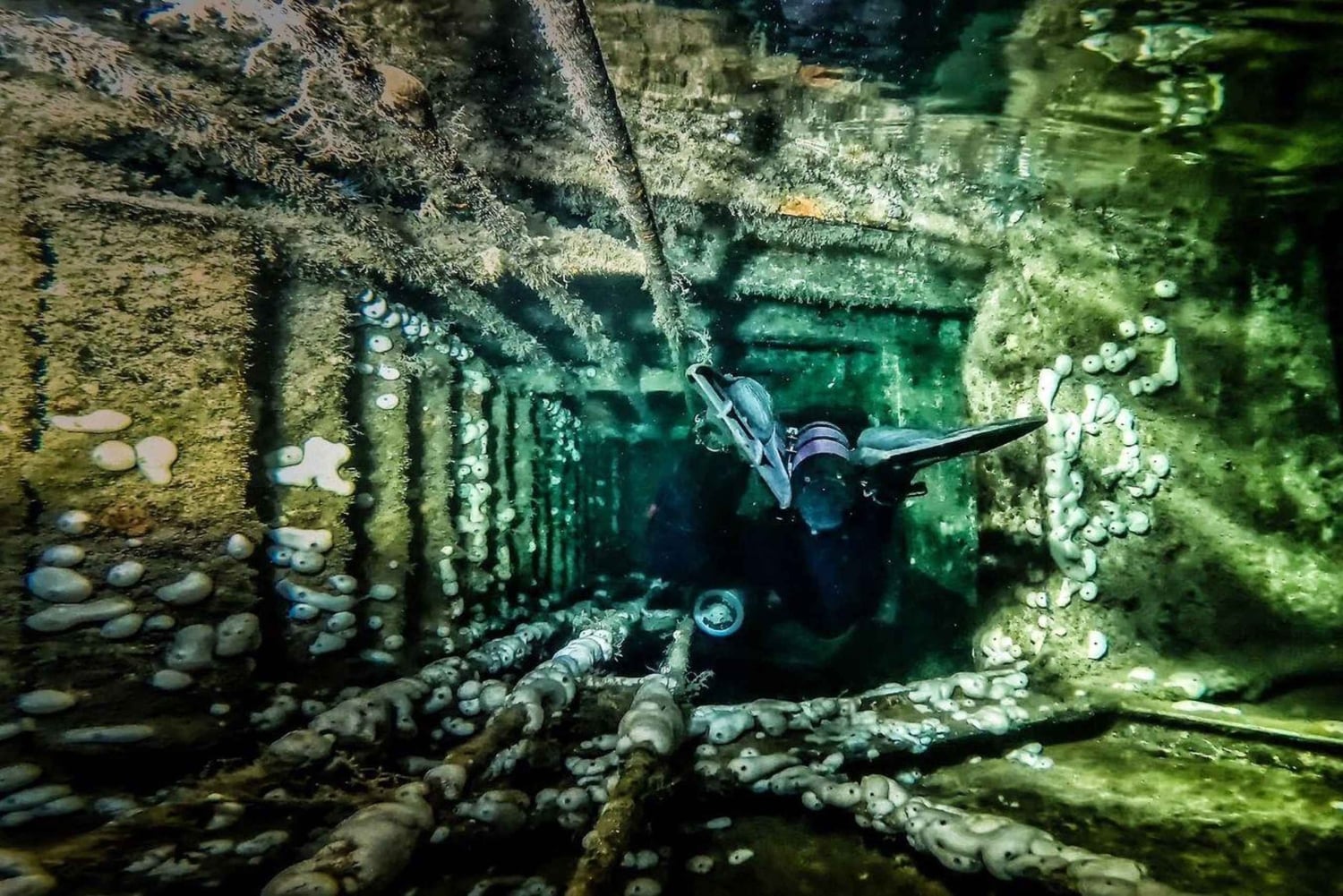 Larnaca: Certificação de mergulho noturno no naufrágio Zenobia com a SSI