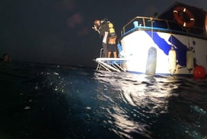 Larnaca: Certificação de mergulho noturno no naufrágio Zenobia com a SSI