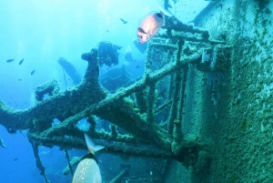 Larnaca: Zenobia Wreck Private Guided Dive