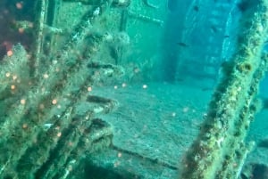 Zenobia Wreck: Private Guided Dive