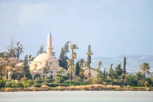 Larnaca's Splendors: From Ancient Echoes to Wine