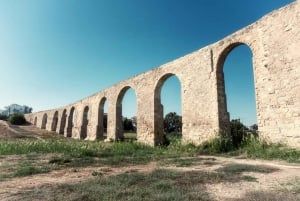 Larnaca's Splendors: From Ancient Echoes to Wine