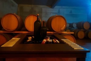 Lefkara, Kato Drys & Choirokoitia UNESCO Tour