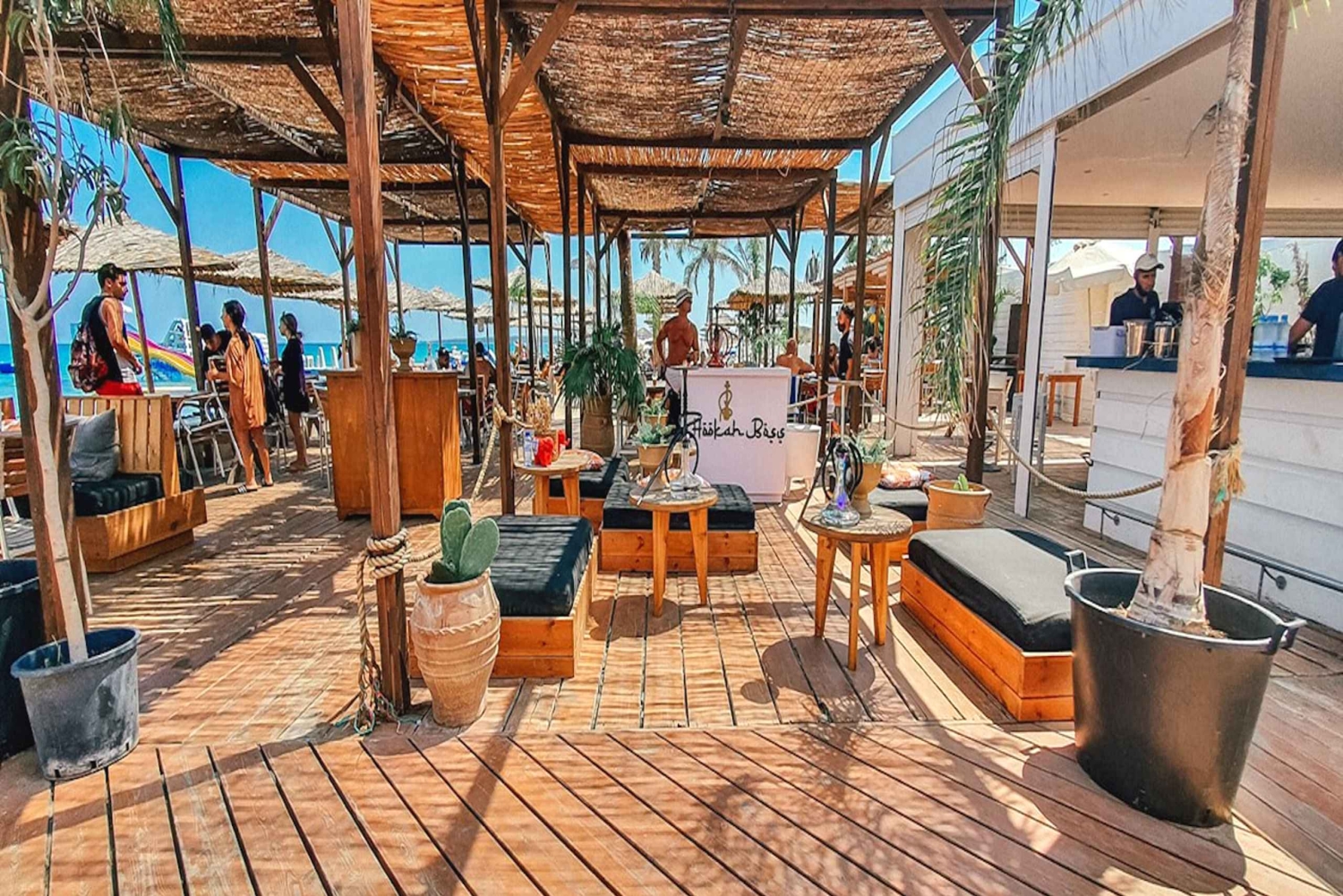 День на пляже Лимассола из Пафоса: Морской парк и Скала Афродиты