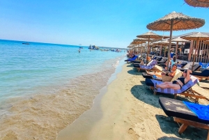 День на пляже Лимассола из Пафоса: Морской парк и Скала Афродиты