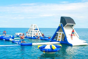 День на пляже Лимассола из Пафоса: Морской парк и Скала Афродиты