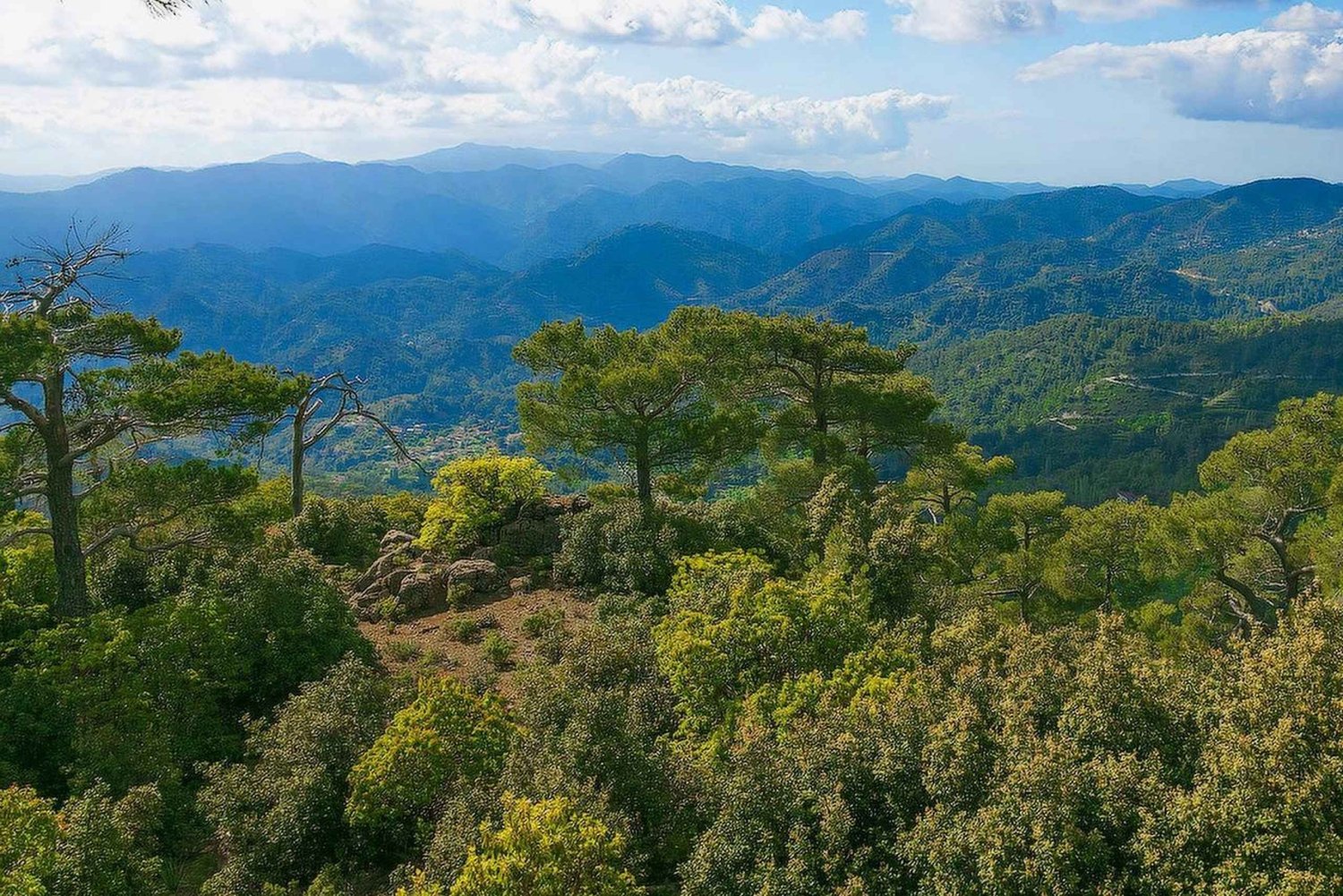 Limassol: belleza, naturaleza y encanto de las montañas de Troodos