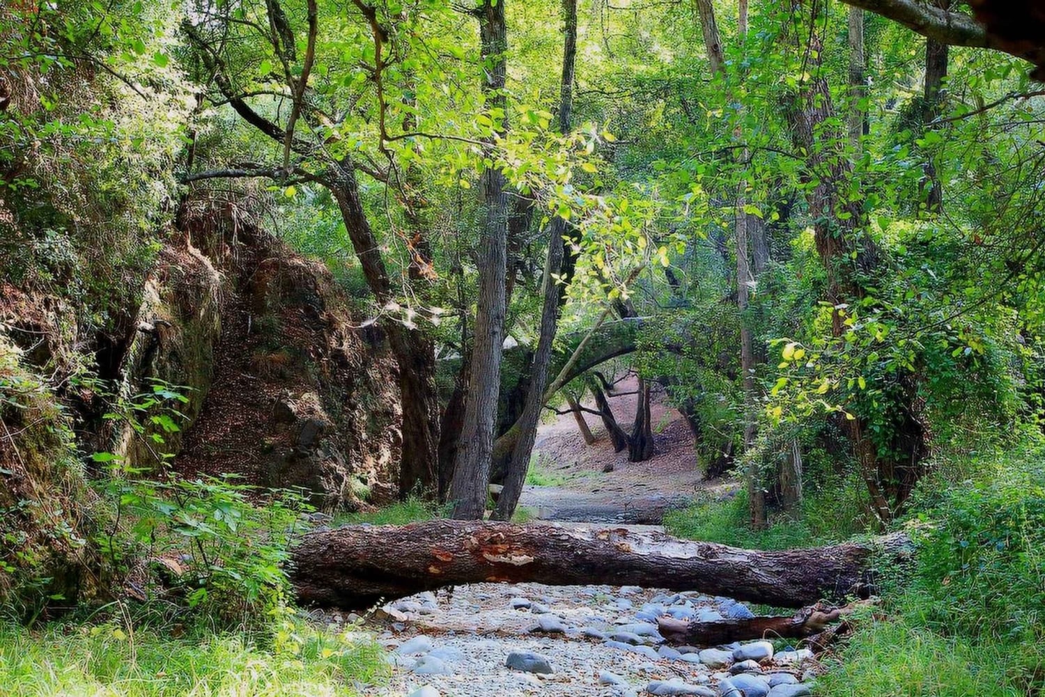 Limassol: Skønhed, natur og charme i Troodos-bjergene