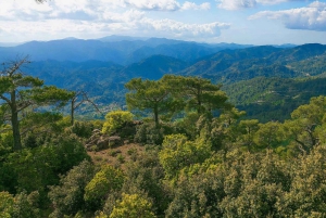 Limassol: belleza, naturaleza y encanto de las montañas de Troodos