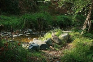 Limassol: belleza, naturaleza y encanto de las montañas de Troodos