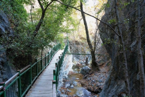 Limassol: belleza, naturaleza y encanto de las montañas de Troodos