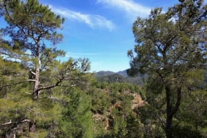 Limassol: belleza, naturaleza y encanto de las montañas de Troodos