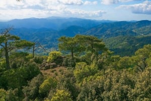 Limassol: Skønhed, natur og charme i Troodos-bjergene