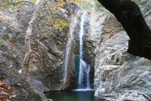 Limassol: Skønhed, natur og charme i Troodos-bjergene