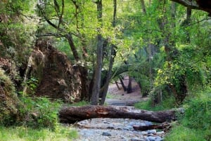 Limassol: Skønhed, natur og charme i Troodos-bjergene