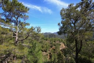 Limassol: Skønhed, natur og charme i Troodos-bjergene