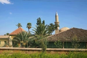 Limassol: Larnaca and Nicosia North Cyprus Private Tour