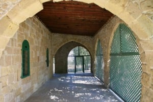 Limassol: Larnaca and Nicosia North Cyprus Private Tour