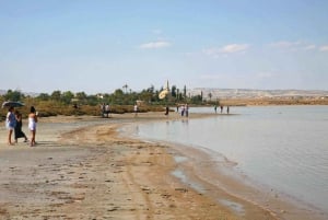 Limassol: Larnaca and Nicosia North Cyprus Private Tour