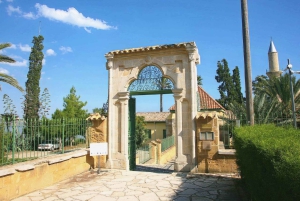 Limassol: Larnaca and Nicosia North Cyprus Private Tour