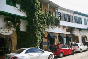 Limassol: Larnaca and Nicosia North Cyprus Private Tour