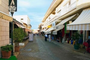 Limassol: tour privado por Famagusta, Salamina y la ciudad fantasma