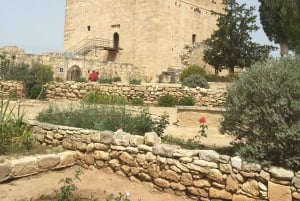 Лимассол: экскурсия на полдня с франкоязычным гидом, отправление из Лимассола