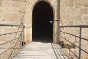 Лимассол: экскурсия на полдня с франкоязычным гидом, отправление из Лимассола