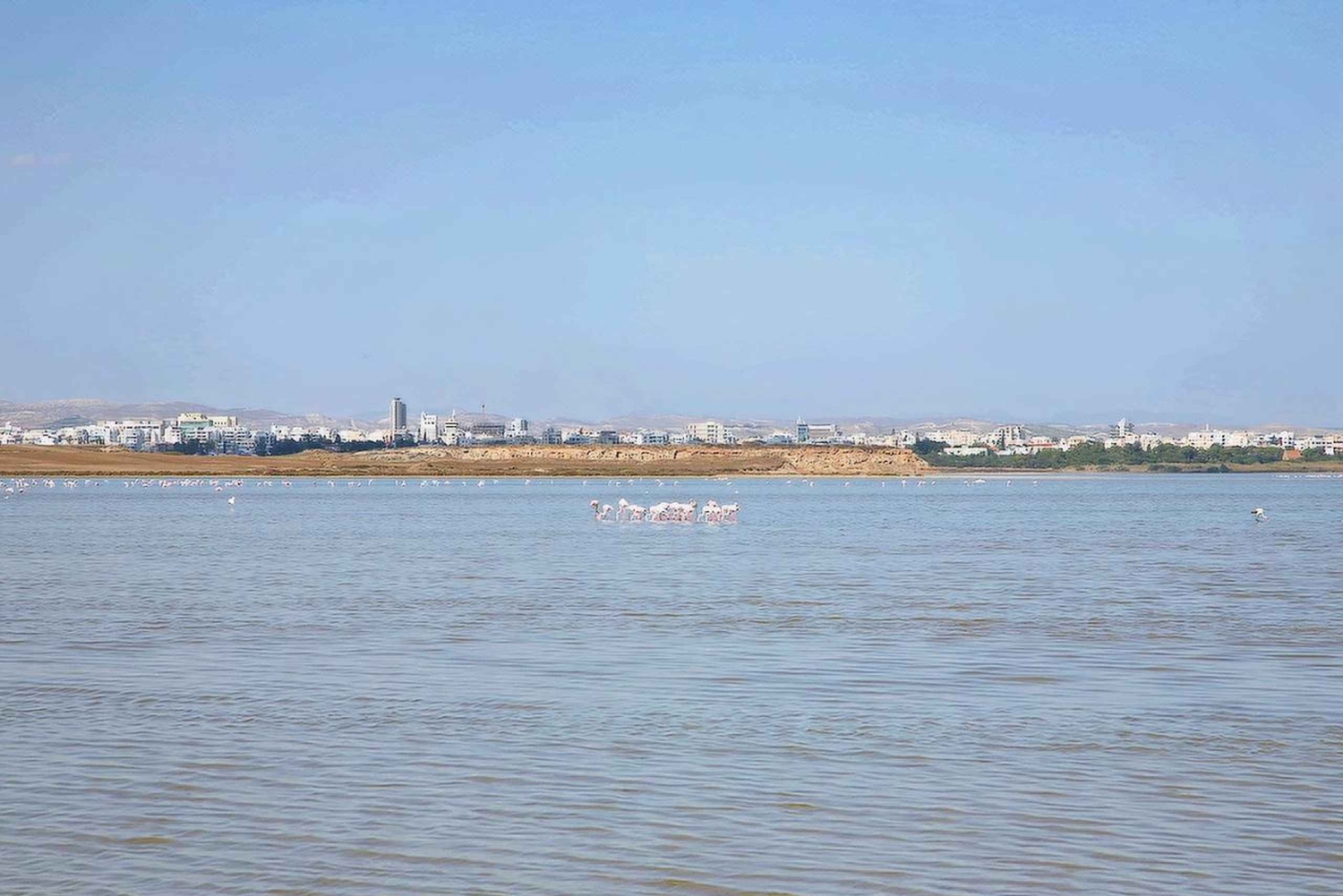 Limassol : Larnaca et Nicosie Nord - Circuit privé à Chypre