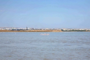 Limassol : Larnaca et Nicosie Nord - Circuit privé à Chypre