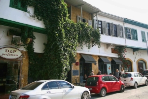 Limassol : Larnaca et Nicosie Nord - Circuit privé à Chypre