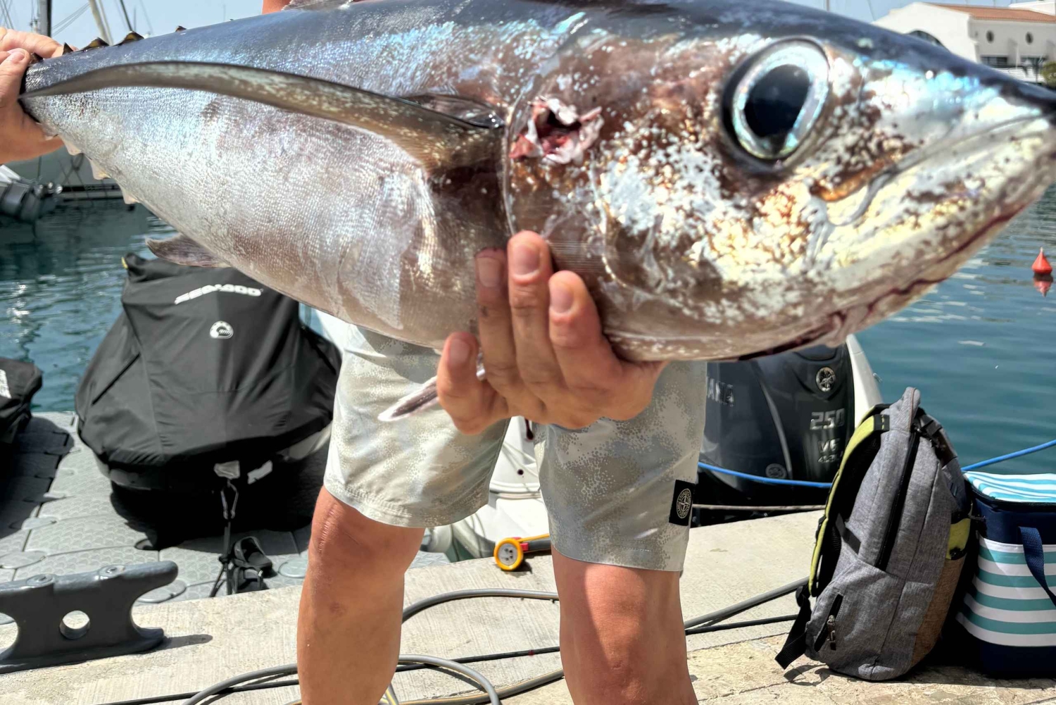 Limassol Marine: Tunfisketur