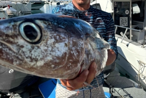 Limassol Marine: Tunfisketur