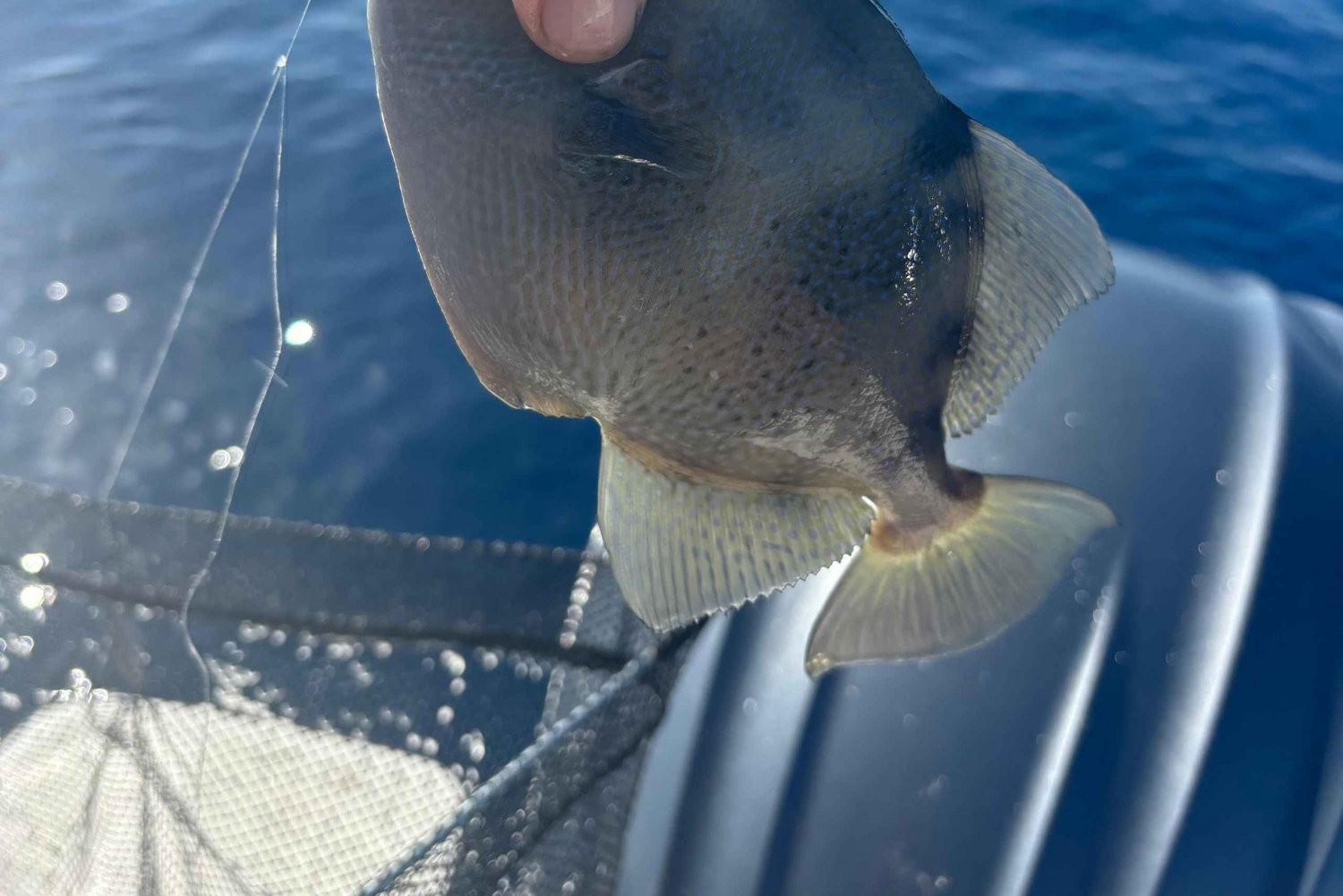 Limassol: gita in barca con pesca alla traina o a fondo