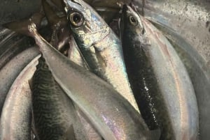 Limassol : excursion en bateau avec pause baignade