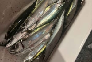 Limassol : excursion en bateau avec pause baignade