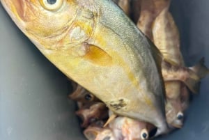 Limassol : excursion en bateau avec pause baignade