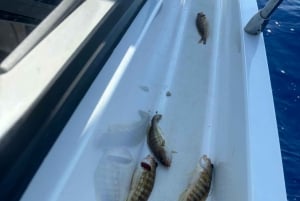 Limassol : excursion en bateau avec pause baignade