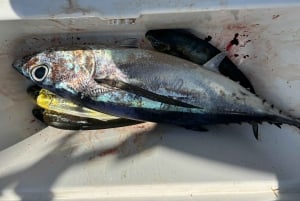 Limassol : excursion en bateau avec pause baignade