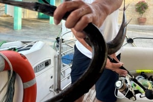 Limassol : excursion en bateau avec pause baignade