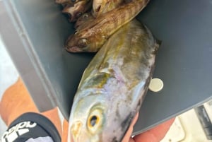 Limassol : excursion en bateau avec pause baignade