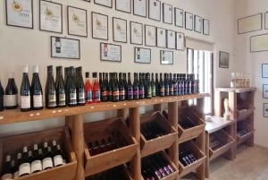 Limassol, Omodos e degustação de vinhos