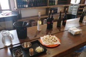 Limassol, Omodos e degustação de vinhos
