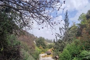 PRIVATE TOUR | Troodos Mountain: Waterfall, Villages & Lunch