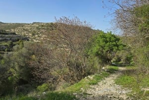 PRIVATE TOUR | Troodos Mountain: Waterfall, Villages & Lunch