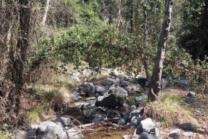 PRIVATE TOUR | Troodos Mountain: Waterfall, Villages & Lunch